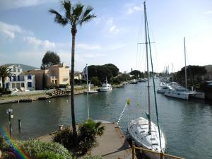 un grupo de barcos atracados en un río con una palmera en PCOGBLAN - Golfe de Saint-Tropez - T2 avec piscine vue marina, en Cogolin