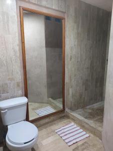 a bathroom with a toilet and a shower at Casa de Ines y Victoria in Valladolid