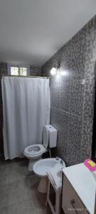 a bathroom with a toilet and a shower and a sink at Alojamiento Cuchi Corral in San Luis