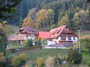 a group of houses on a hill with trees at Vogtshof in Bad Rippoldsau-Schapbach