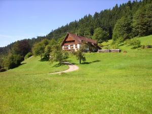 Bad Rippoldsau-SchapbachにあるVogtshofの緑地の丘の上の家