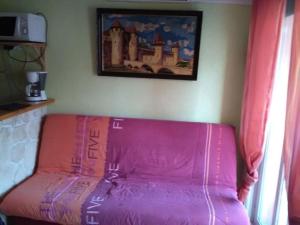 ポール・ラ・ヌーヴェルにあるLe Mieukerien, Réserve africaine 15 mn et plage 200 mの壁に絵が描かれた部屋のピンクのソファ