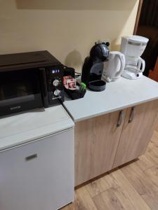 Kuchyň nebo kuchyňský kout v ubytování Apartman "SaraP" Metković