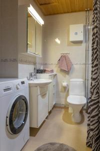 une salle de bains avec lave-linge et lavabo dans l'établissement Vasko luxurious suites, Luppo, à Rovaniemi