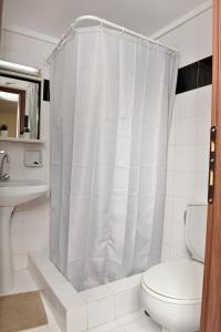 a bathroom with a toilet and a shower curtain at Alkinoe Suite Arachova in Arachova