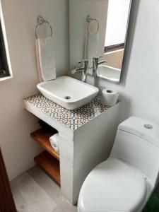 La salle de bains est pourvue d'un lavabo blanc et de toilettes. dans l'établissement Casa Monarcas - Diana (with AC), à Guadalajara