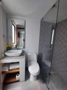 La salle de bains est pourvue de toilettes, d'un lavabo et d'une douche. dans l'établissement Casa Monarcas - Diana (with AC), à Guadalajara