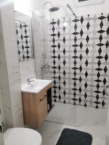 een badkamer met een toilet, een wastafel en een douche bij Apartman Aki in Pirot