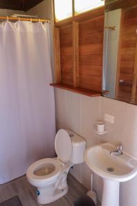 ein Bad mit einem WC und einem Waschbecken in der Unterkunft Galapagos Chalet-Buda Chalet in Puerto Ayora