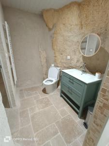 a bathroom with a white toilet and a sink at La troglodyte fantastique Lochoise in Loches