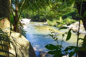 a stream of water with rocks in a forest at Casa Hostal Villa Del Rio in El Zaino