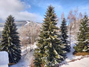 PENSION KUBU Apartment 3 samostatný byt s kuchyní v zime