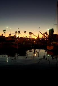 a group of boats docked in a marina at sunset at Nuit insolite in Le Barcarès
