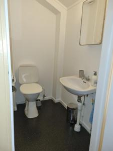a bathroom with a toilet and a sink at Appartement in de natuur! in Fredriksberg