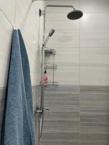 a bathroom with a shower with a blue towel at Apart 23 in Karakol +17 photos
