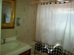 a bathroom with a sink and a shower curtain at Corosol Apartments in Roseau