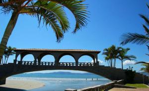 un ponte su una spiaggia con una palma di Apartamento meia praia a Itapema