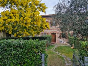 a brick house with a tree with yellow flowers at Casolare 1898 in Pesaro