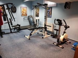 Fitness centrum a/nebo fitness zařízení v ubytování Suterénní pokoj v Penzionu Kubu