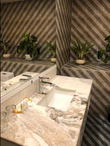 a bathroom with a sink and a counter with plants at Grand River View Hotel - Rajshahi in Rājshāhi