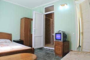 TV a/nebo společenská místnost v ubytování Hotel Luka, near Church