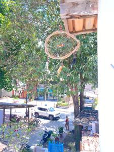 a view of a tree with a basketball hoop at Hostel Aconchego do Arraial in Arraial d'Ajuda