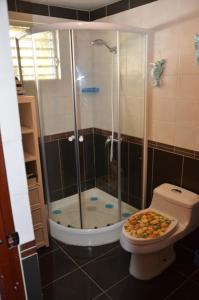 a bathroom with a shower and a toilet at Casa Vacanze Dume in Bayahibe