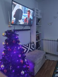 TV a/nebo společenská místnost v ubytování Apartment Stelvio + 5 fotografií