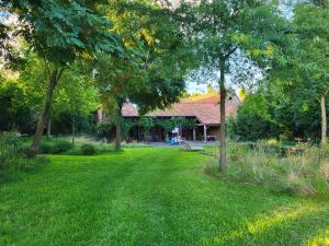 Garður fyrir utan Charming and cosy ART DECO house in old historic farm with private natural pool and gardens with hiking and cycling trails nearby