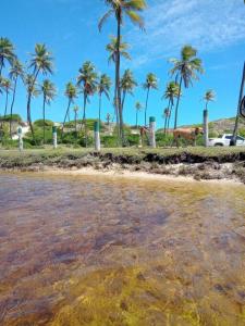 un cuerpo de agua con palmeras y un caballo en Aconchego natureza: Massarandupió Beach, 5k para a Praia, en Massarandupio