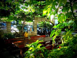 Gallery image of Saki Apartments in Budva