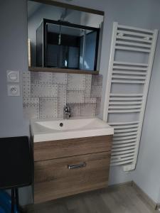 een badkamer met een wastafel en een spiegel bij Appartement d'une chambre avec vue sur la ville et wifi a Romorantin Lanthenay in Romorantin