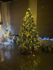 Foto sihtkohas Gonio asuva majutusasutuse Hotel FLEUR DE LIS galeriist