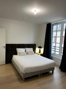 um quarto com uma cama grande num quarto em Le Bijou du Martroi em Orléans