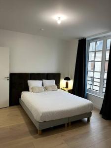 a bedroom with a large bed in a room at Le Bijou du Martroi in Orléans