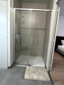 a shower with a glass door in a bathroom at Le Bijou du Martroi in Orléans