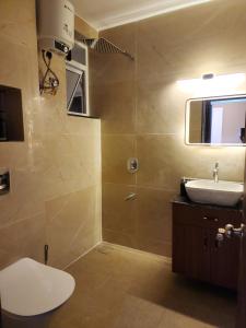 uma casa de banho com um WC, um lavatório e um chuveiro em MYKA SD ZANITA HEIGHTS em Vasco Da Gama