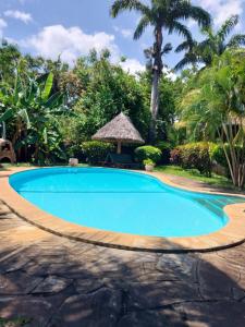 ein Pool in einem Resort mit einem Baum in der Unterkunft Dosi lounge in Ukunda