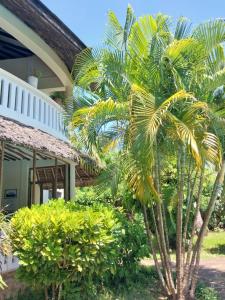 eine Palme vor einem Haus in der Unterkunft Dosi lounge in Ukunda