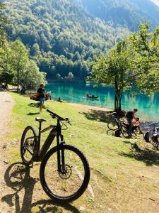 Una bicicleta estacionada en el césped junto a un lago en Apartments Belopeški Dvori en Kranjska Gora