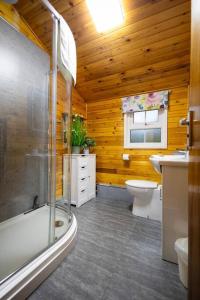 Ffestiniog的住宿－Rural Log Cabin Retreat near Coed y Brenin by Seren Short Stays，带浴缸、卫生间和盥洗盆的浴室