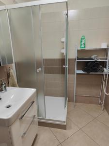 Kúpeľňa v ubytovaní Villa Pirken Hammer