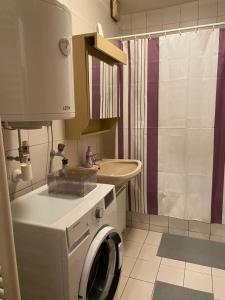 a bathroom with a washing machine and a sink at Anna in Hinterberg