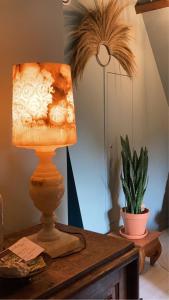 uma lâmpada sentada numa mesa ao lado de uma planta em Dilectus (Via Caput) em Lokeren
