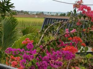 a garden of flowers with a field in the background at Jetpoint Furnished 2 bedroom in Nadi