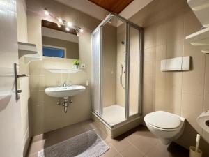 een badkamer met een douche, een toilet en een wastafel bij Ferienwohnungen Palma in Cortaccia