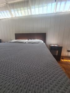 a bedroom with a large bed in a room at Las condes, Amplia habitación con baño privado in Santiago