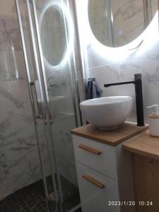 een badkamer met een douche en een witte wastafel bij *joli Studio plein centre ville* in Rouen