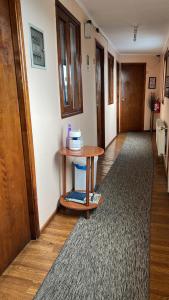 TV a/nebo společenská místnost v ubytování HOSTAL VICTORIA