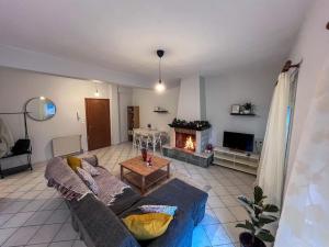 a living room with a couch and a fireplace at Διαμέρισμα «Εξοχή» στο Καλπάκι in Kalpákion